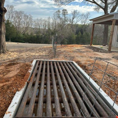 513915636_1231423574959665_5224020155557036733_n