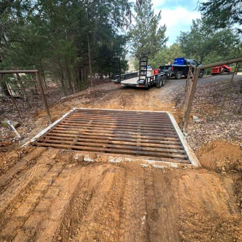 516102262_1233755548016199_8219324672873921750_n